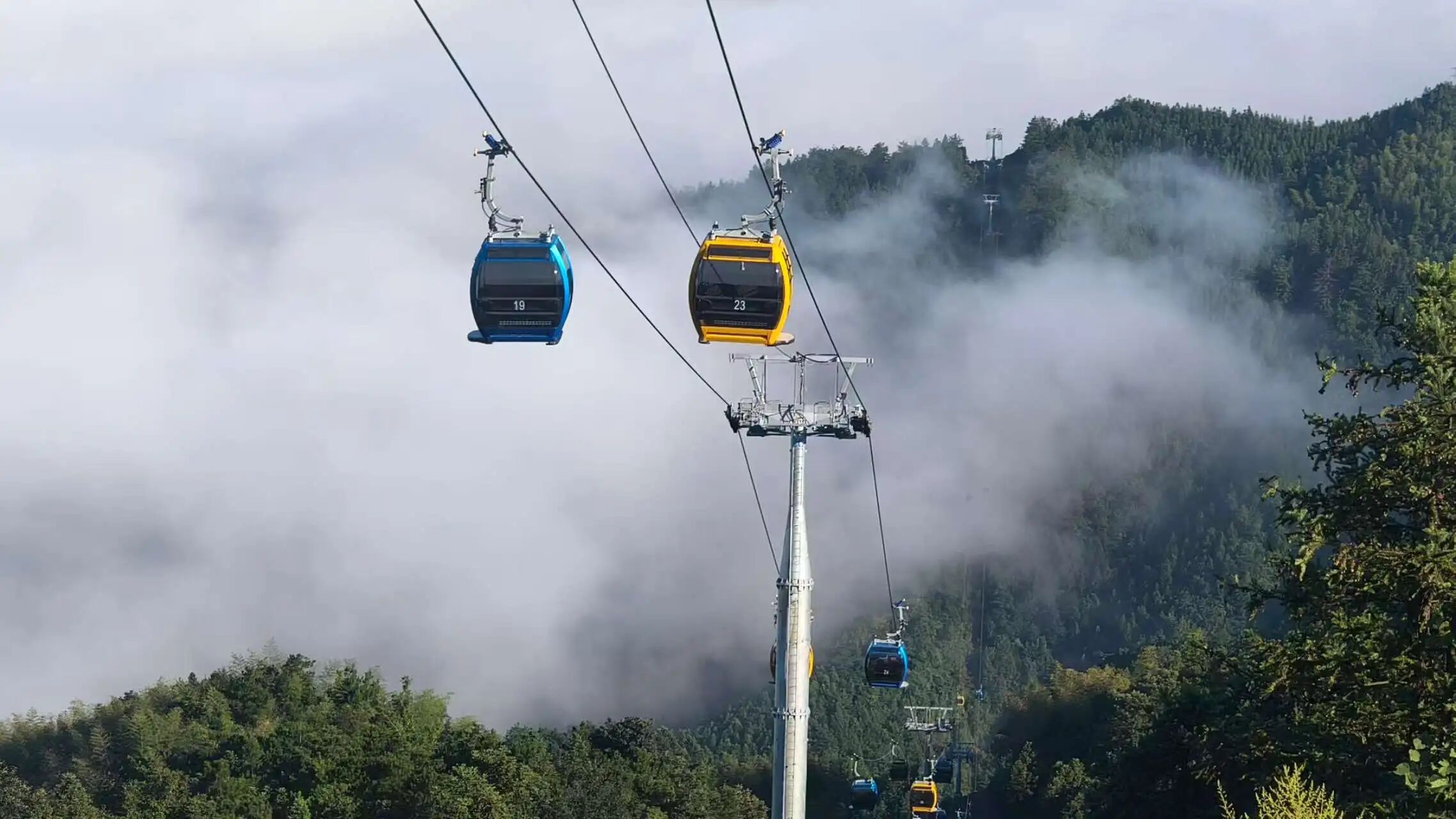 W020250912018960213401 w66国际app(中国)官方下载_来利国际老牌